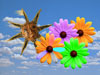 sol_blommor